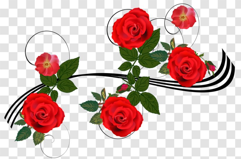 Image Garden Roses China Rose Flower Clip Art - Flora Transparent PNG