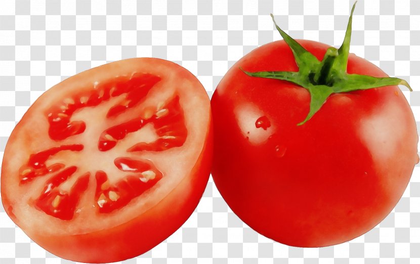 Tomato - Vegetable - Plant Plum Transparent PNG