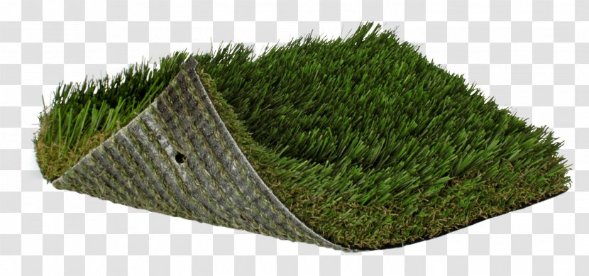 Artificial Turf Lawn Fescues Landscaping Garden - Grass Family Transparent PNG