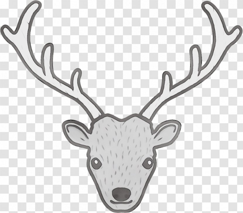 Reindeer - Antler - Moose Drawing Transparent PNG