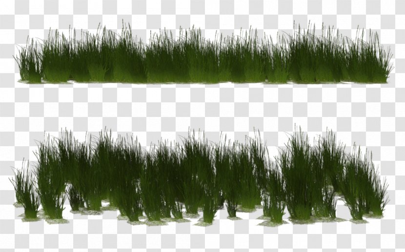 3D Computer Graphics Poser - Landscape - Vegetation Transparent PNG