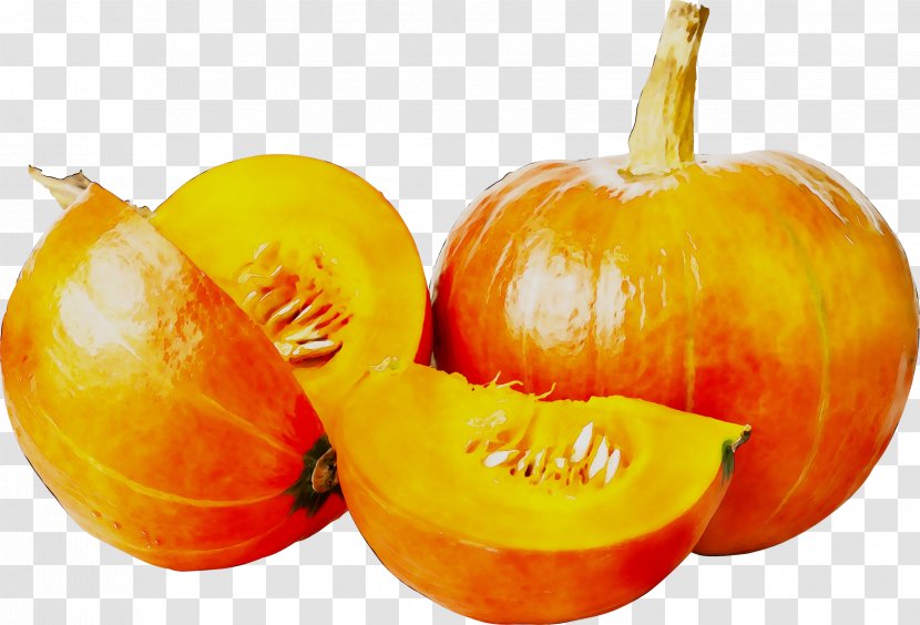 Butternut Squash Pumpkin Vegetarian Cuisine Gourd - Food - Winter Transparent PNG