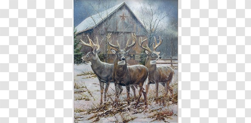 Reindeer Art Hunting Elk - Whitetail Deer Transparent PNG