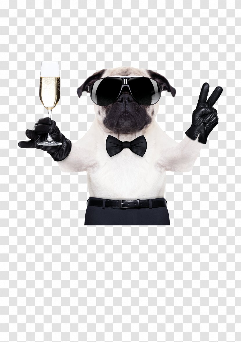 Pug French Bulldog Chihuahua Boxer - Cocktail Glass - Cool Dog FIG. Transparent PNG