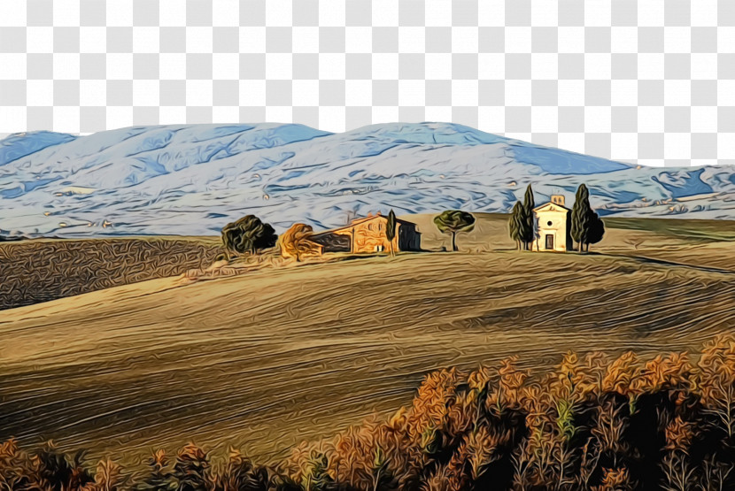 Steppe Grassland Soil Rural Area Grasses Transparent PNG