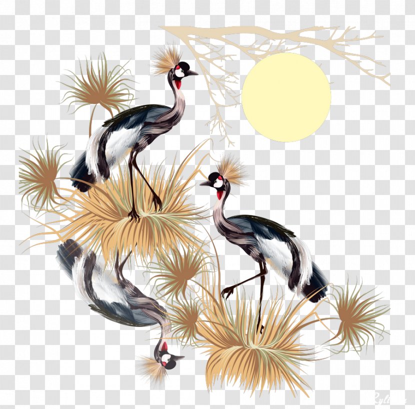 Crane Bird Drawing - Watercolor Painting Transparent PNG