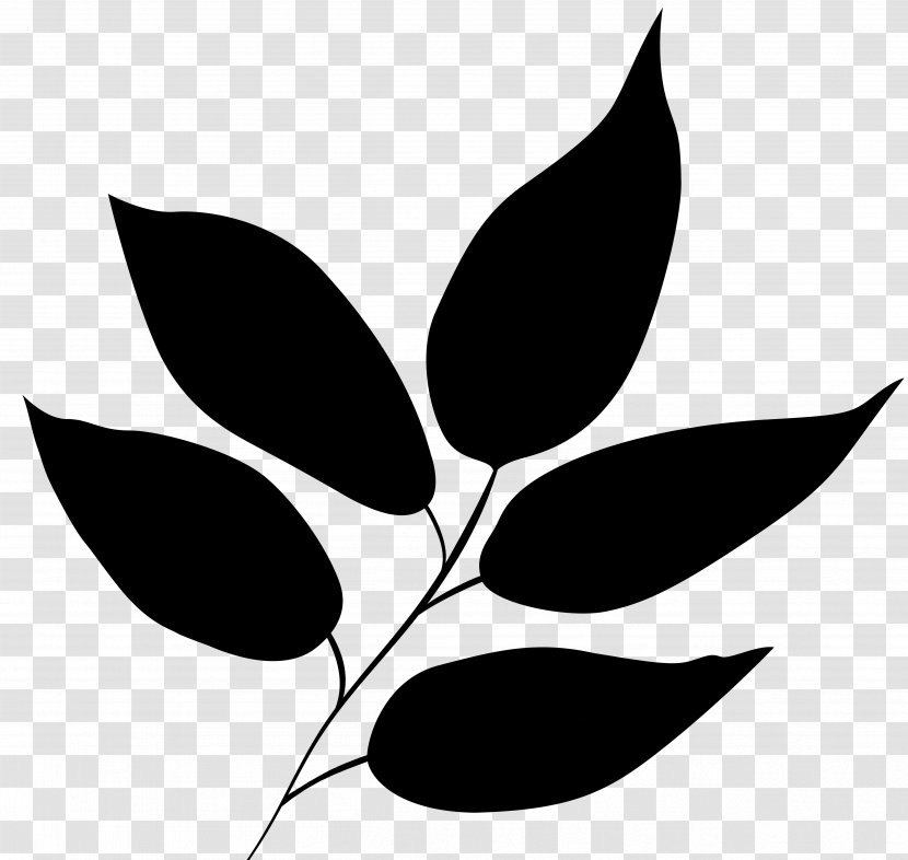 Leaf Plant Stem Flower Clip Art Pattern - Botany - Plants Transparent PNG