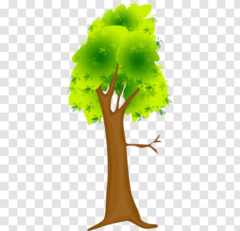 Tree Illustration - Green Transparent PNG