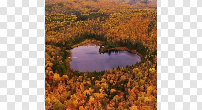 Quebec City Heart Lake Otter Name Of Canada Arthabaska Regional County Municipality - Flower - Rusty Paradise Transparent PNG