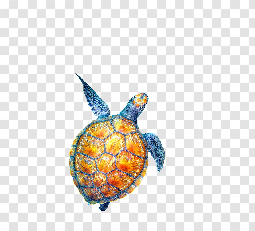 Sea Turtle Drawing - Loggerhead - Creatures Transparent PNG