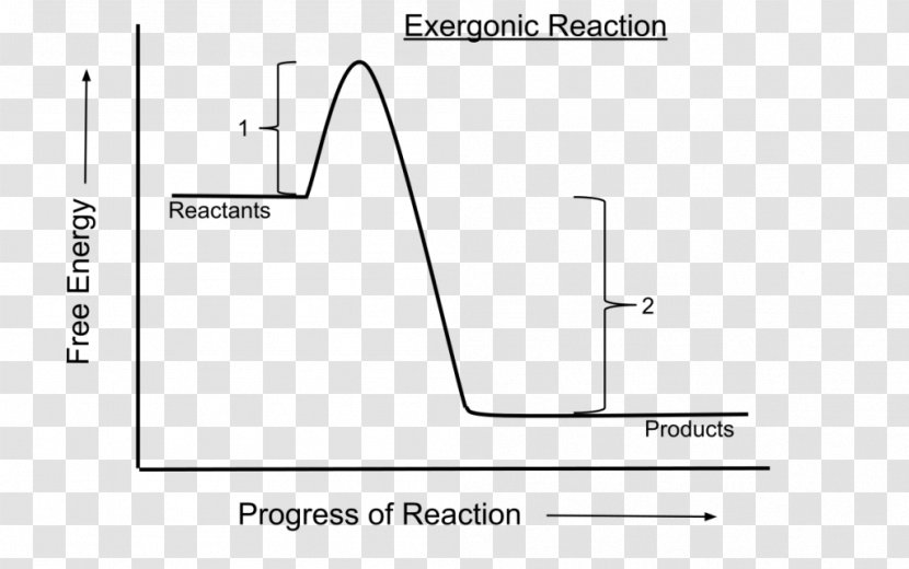 Exergonic Reaction Process Chemical Spontaneous Activation Energy Transparent PNG