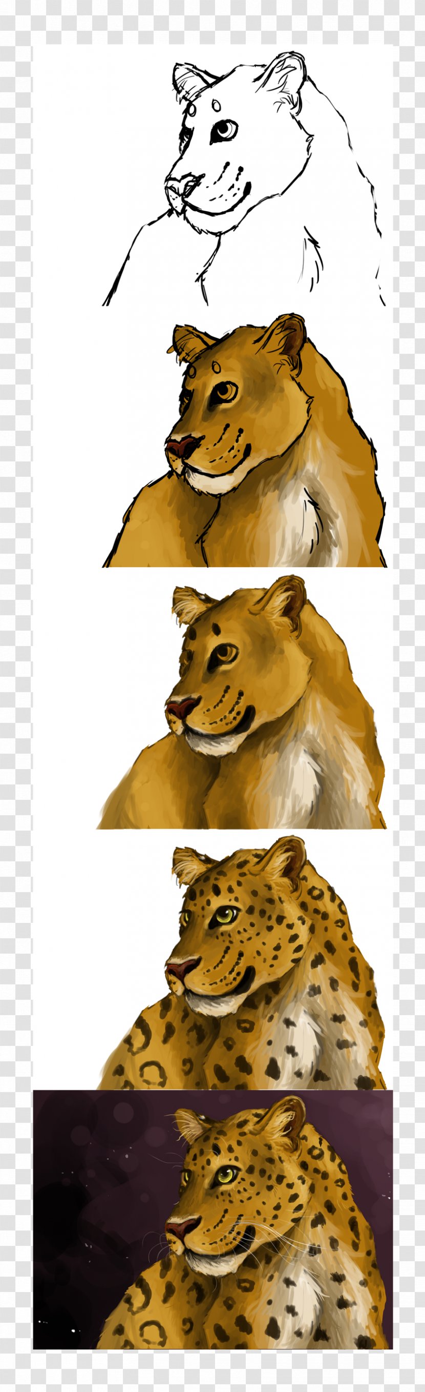 Big Cat Fur Font - Mammal Transparent PNG