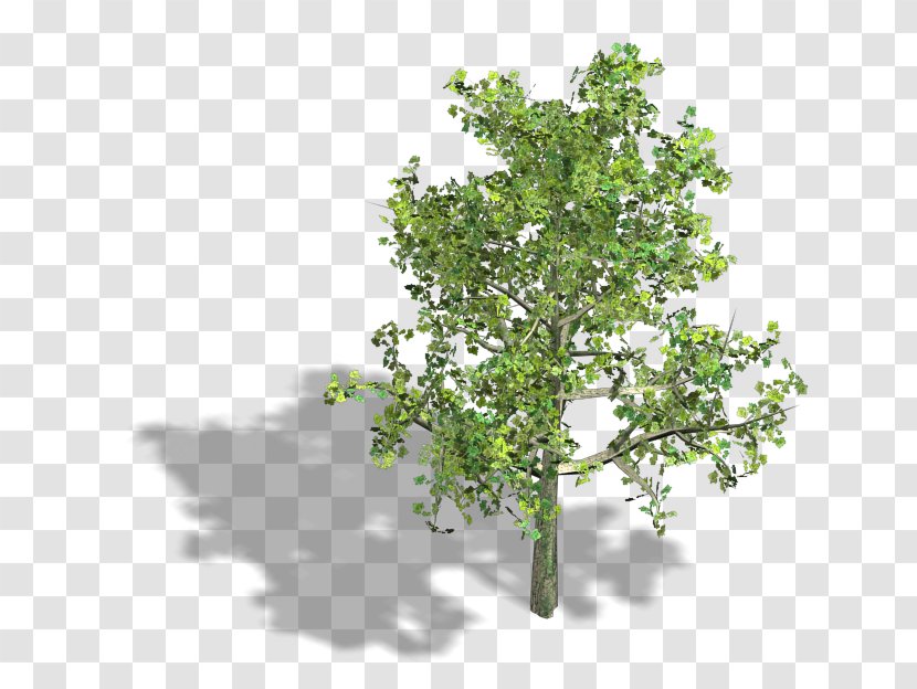 Branch Isometric Projection Axonometric Tree Graphics In Video Games And Pixel Art - Herb Transparent PNG