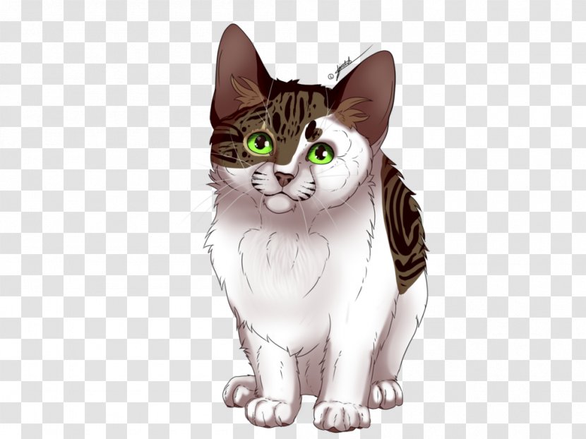American Shorthair Wirehair Whiskers Minecraft Domestic Short-haired Cat - Mammal Transparent PNG