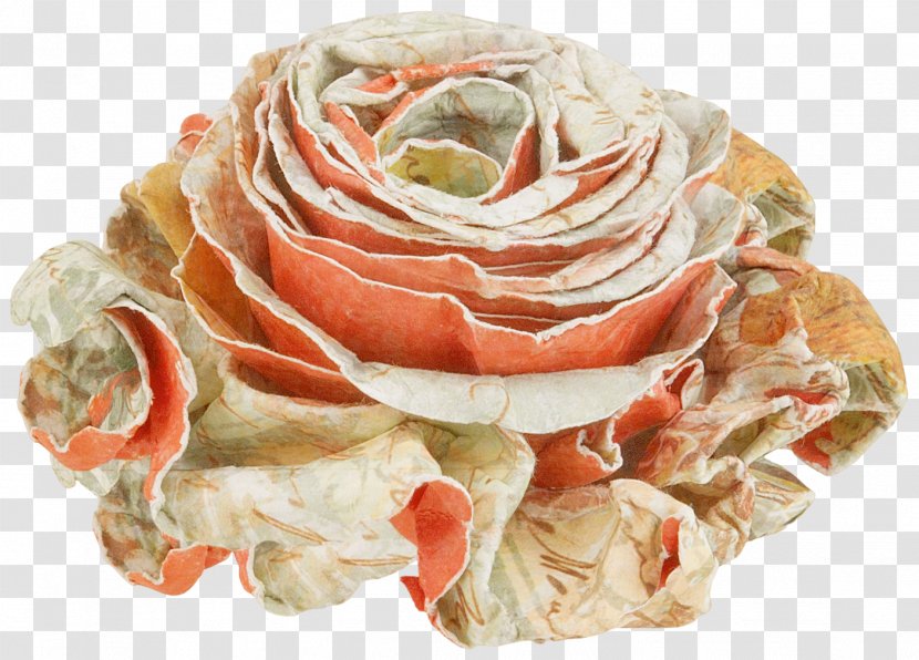 Garden Roses Flower Paper - Rose Order - Claborate-style Transparent PNG