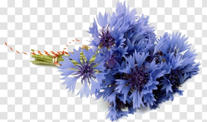 Flower Bouquet Cornflower Cut Flowers Bride - Rose Transparent PNG