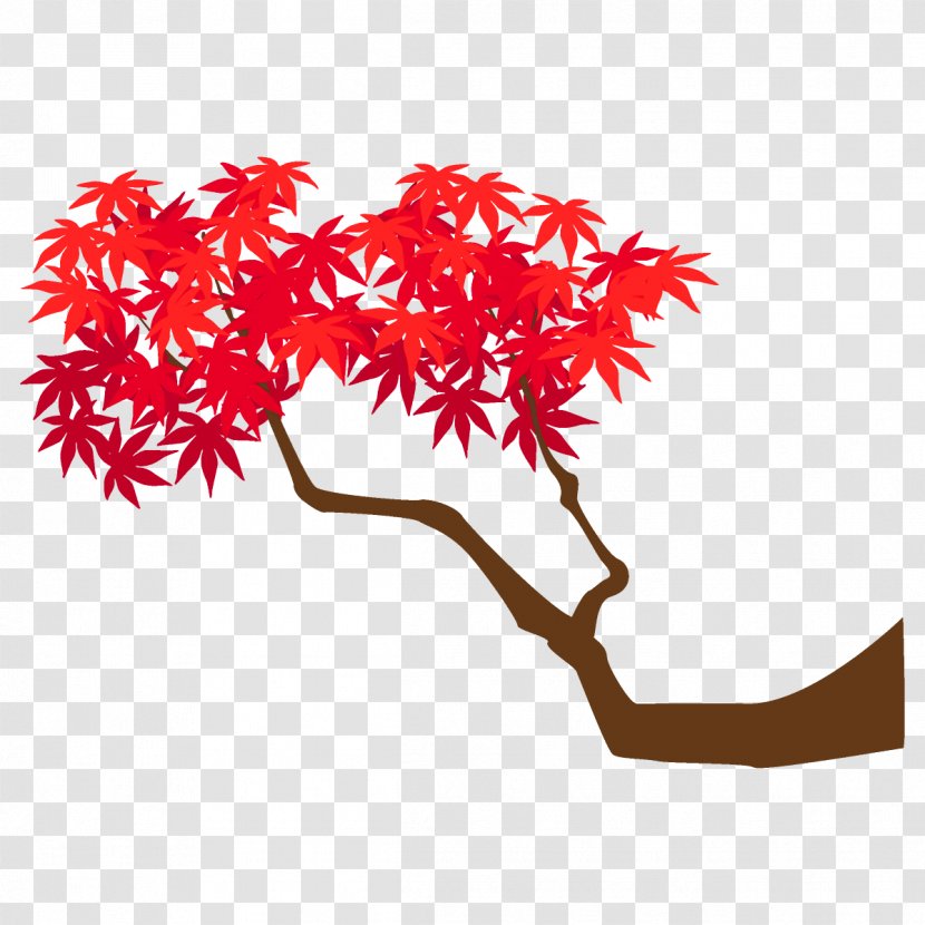 Maple Branch Leaves Autumn Tree - Plant Stem - Twig Transparent PNG