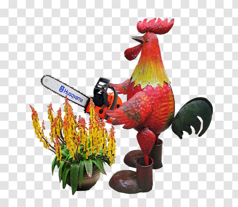 Bird Parrot - Lawn Mowers - Plant Transparent PNG