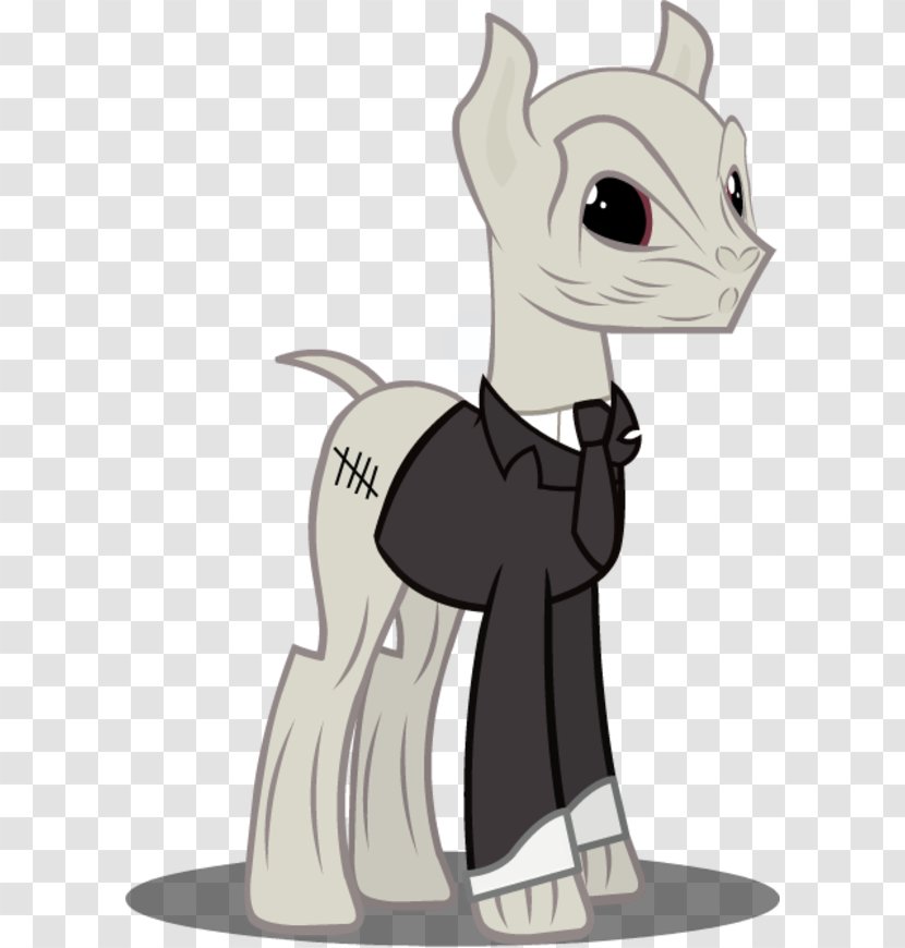 Cat Pony Doctor Horse Silence Transparent PNG