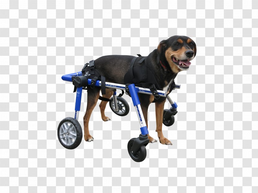Dog Breed Wheelchair Dobermann Puppy Cane Corso - Pet Transparent PNG