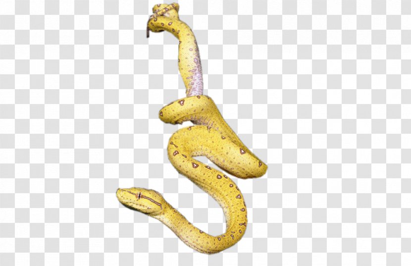 Snake Icon - Designer - Golden Transparent PNG