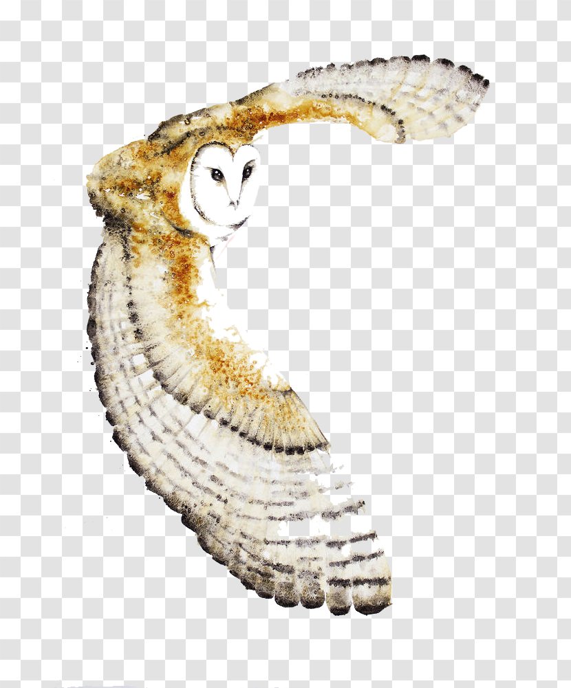 Tawny Owl Hummingbird Flight - Beak - Flying Transparent PNG