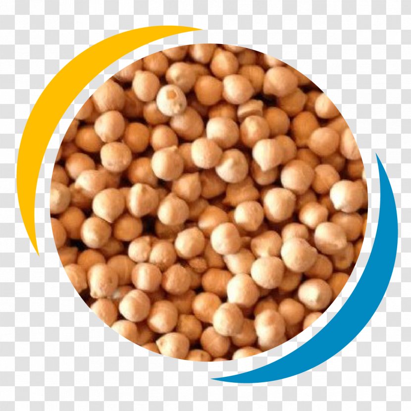 Hazelnut Commodity Superfood Ingredient Bean - Nuts Seeds - CHICK PEAS Transparent PNG