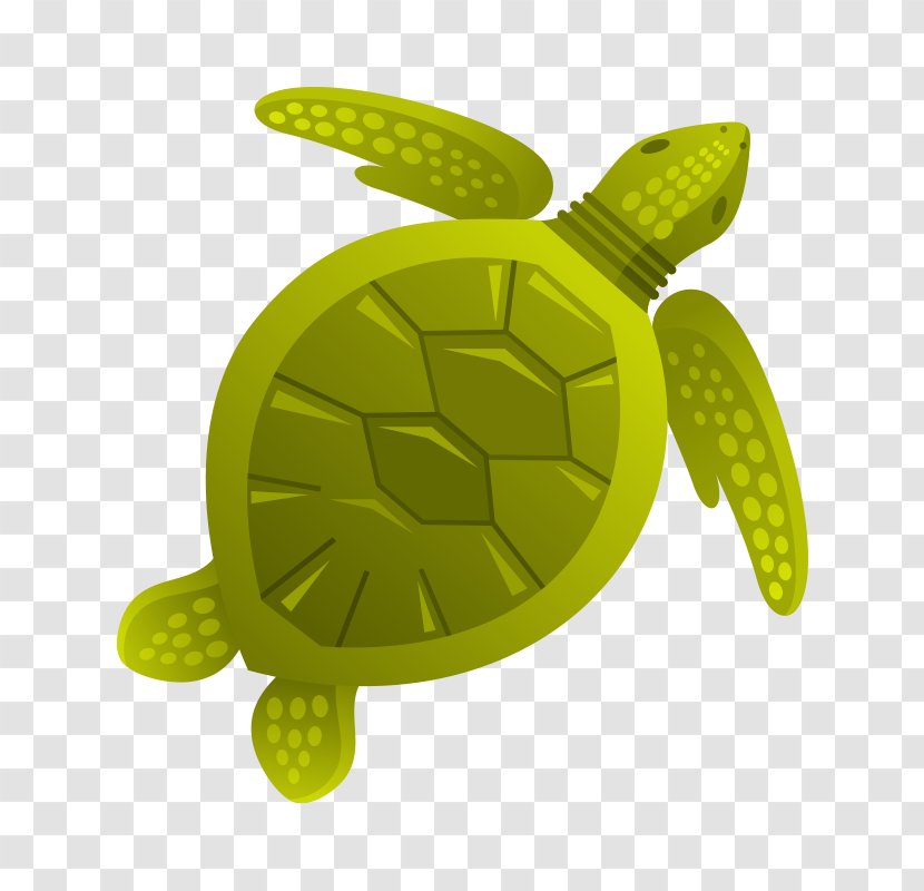 Turtle Aquatic Animal Sea Clip Art - Green - Marine Life,Sea Creatures Transparent PNG