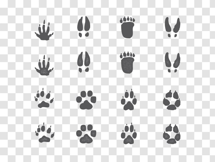 Animal Poster Illustration - Symmetry - Vector Footprints Transparent PNG