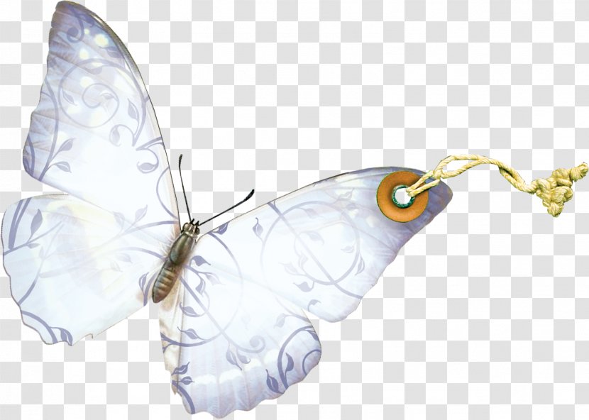 Brush-footed Butterflies Butterfly Insect Silkworm Wing Transparent PNG