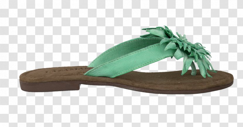 Flip-flops Sandal Leather Shoe Suede - Flip Flops For Women Transparent PNG