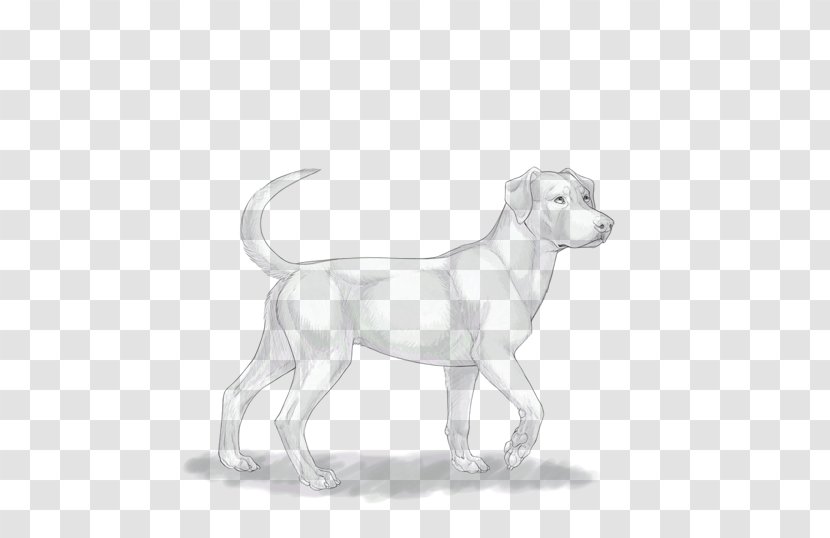 Dog Breed Catahoula Cur Puppy Pembroke Welsh Corgi American Leopard Hound Transparent PNG