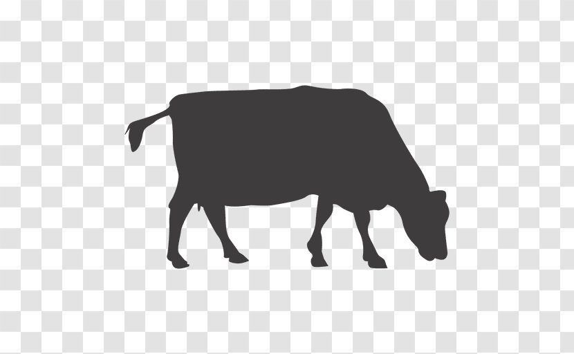 Dairy Cattle Hereford Ox Livestock Bull - Cow Man Transparent PNG