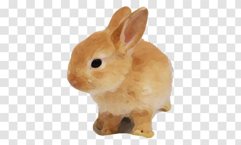 Domestic Rabbit Hare Photography - Poster Transparent PNG