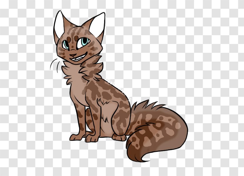 Whiskers Kitten Wildcat Tabby Cat Transparent PNG