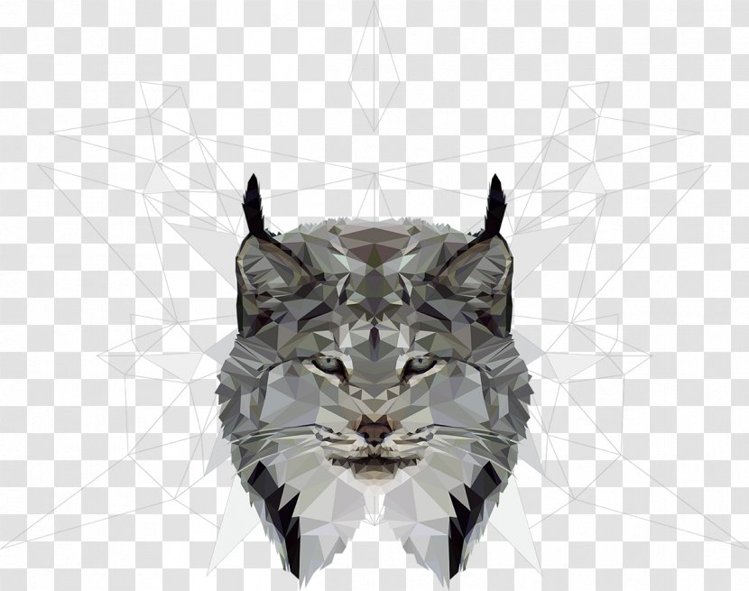 Whiskers Cat Drawing Painting Illustration - Carnivoran Transparent PNG