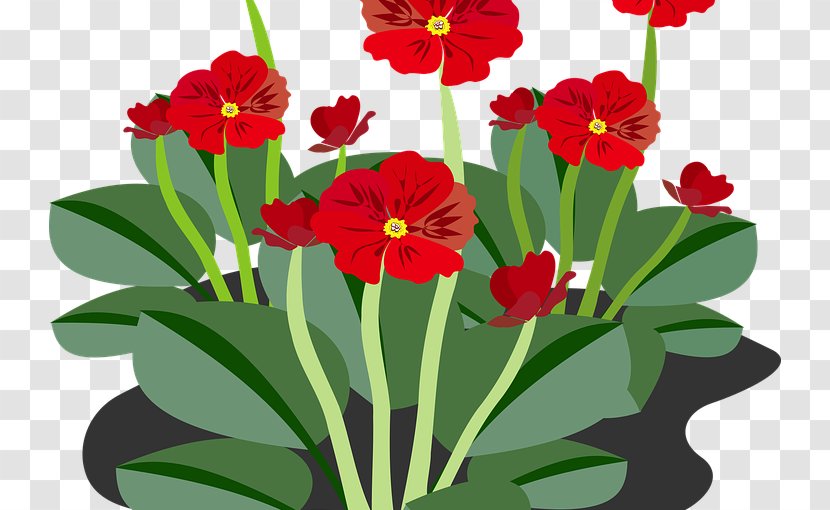 Flowering Plant Clip Art - Flora - Practical Flower Transparent PNG