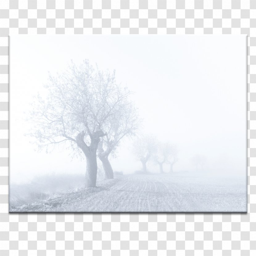 Stock Photography Desktop Wallpaper Computer - Blizzard Entertainment - Watercolour Twig Transparent PNG