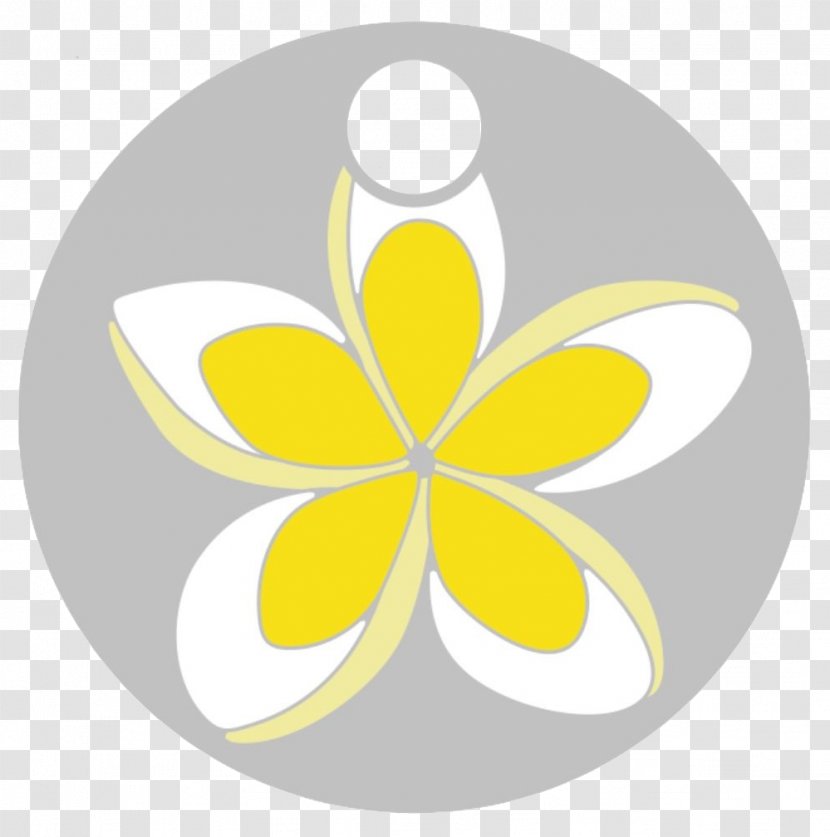 Butterfly Pollinator Petal Flower Leaf - Frangipani Transparent PNG