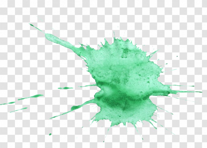 Watercolor Painting Art - Paint - Green Transparent PNG