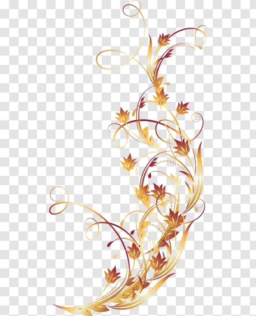 Floral Design Leaf Pattern Transparent PNG