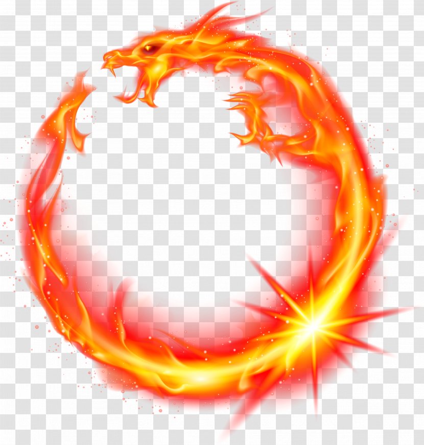 Dragon Fire - Orange Transparent PNG