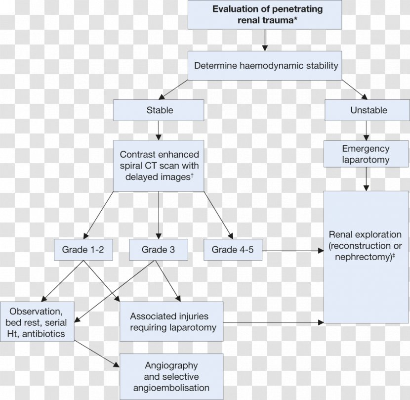 Line Organization Point - Diagram Transparent PNG