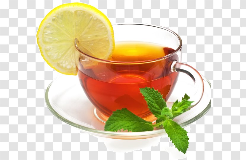 Green Tea Fizzy Drinks Ginger Lemon Juice - Roman Chamomile Transparent PNG