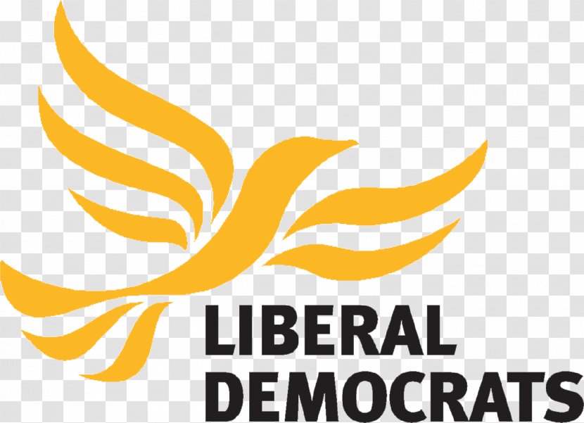 Liberal Democrats Liberalism Political Party Election Councillor - Democracy - United Kingdom Transparent PNG