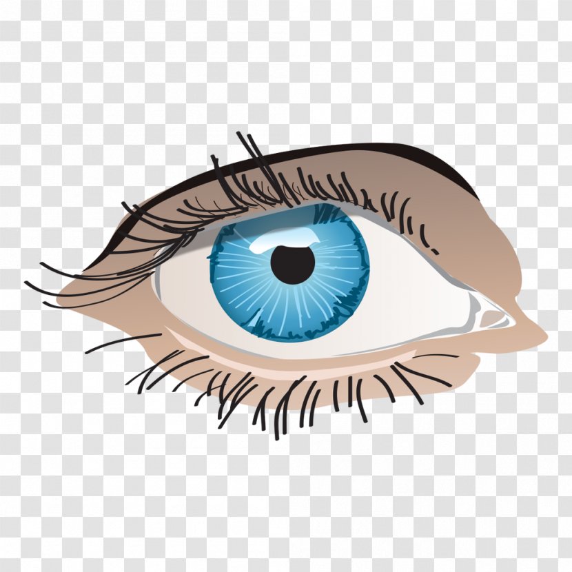 Eye Euclidean Vector - Heart - Blue Eyes Transparent PNG