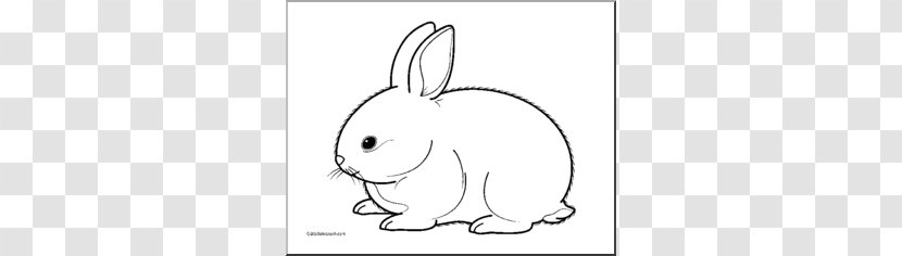 White Rabbit Holland Lop Hare Clip Art - Cliparts Transparent PNG