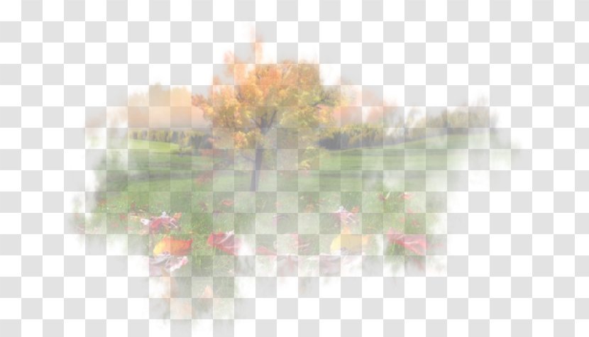 Mist Fog Morning Desktop Wallpaper Leaf - Sky Plc - Fond Couleur Transparent PNG