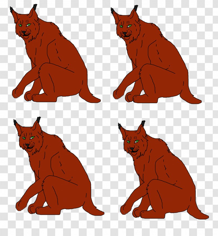 Cat Red Fox Mammal Carnivora - Lynx Transparent PNG