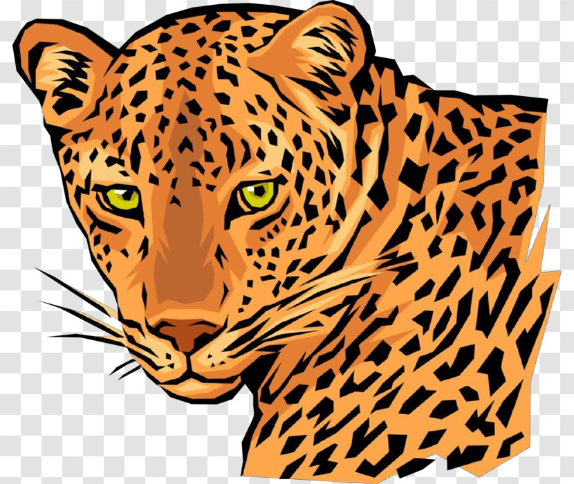 Wildlife Whiskers African Leopard Leopard Head Transparent PNG